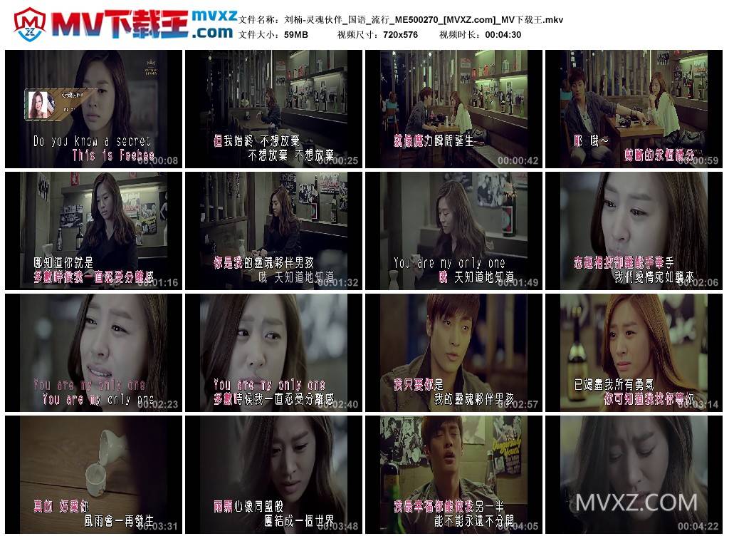 刘楠-灵魂伙伴_国语_流行_ME500270